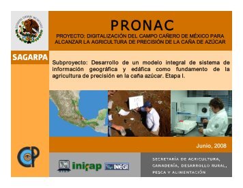 PresentaciÃ³n - Siazucar - Servicio de InformaciÃ³n Agroalimentaria y ...