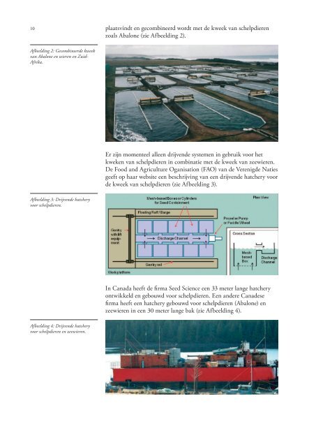 Zeewieren in gesloten systemen (2011)