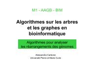 Algorithmes sur les arbres et les graphes en bioinformatique