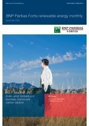 BNP Paribas Fortis renewable energy monthly - Virtual Metals