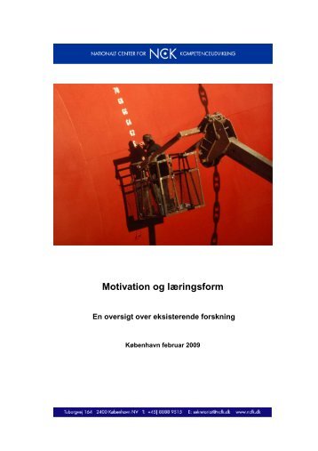 Litteraturstudie, undersÃ¸gelse 1.3 februar 2009 - NCK - Aarhus ...