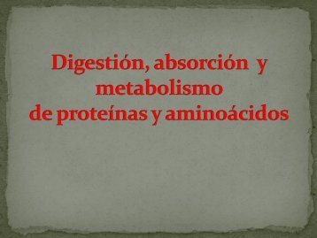 DigestiÃ³n y metabolismo de proteÃ­nas y aminoÃ¡cidos