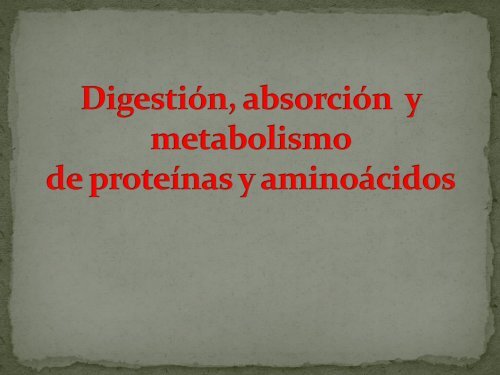 DigestiÃ³n y metabolismo de proteÃ­nas y aminoÃ¡cidos