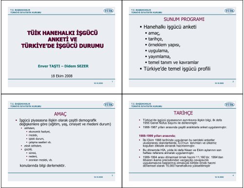 tÃ¼ik hanehalkÄ± iÅgÃ¼cÃ¼ anketi ve tÃ¼rkiye'de iÅgÃ¼cÃ¼ durumu - EAF