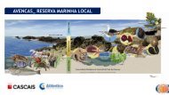 Projecto para a primeira reserva marinha de Ã¢mbito ... - DNA Cascais