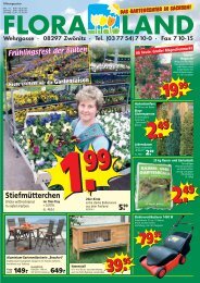 Stiefmütterchen 5.99