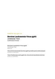 Bovine Leukaemia Virus gp51 Antibody Test - Svanova Biotech AB