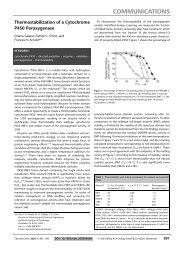 Thermostabilization of a Cytochrome P450 Peroxygenase