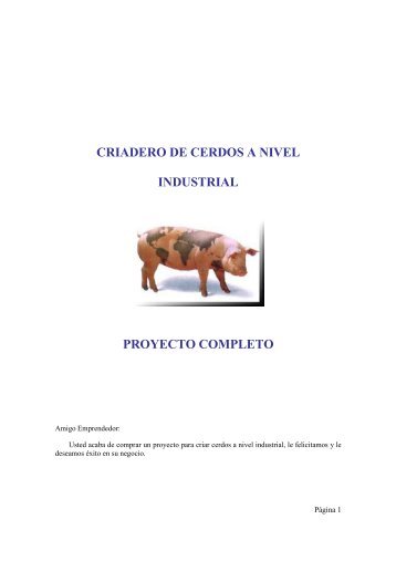 Cria de Cerdos a nivel Industrial.pdf - Centro de InformaciÃ³n de ...