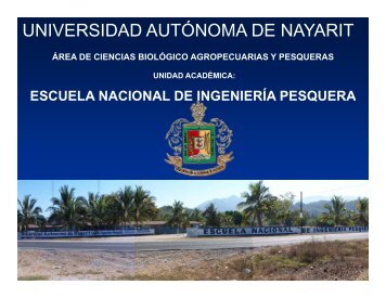 4. PE IngPesquero UANayarit.pdf - Facultad de Ciencias Marinas