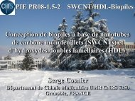 PIE PR08-1.5-2 SWCNT/HDL-Biopiles - CNRS