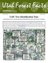 UofU Tree Identification Tour - Forestry - Utah State University