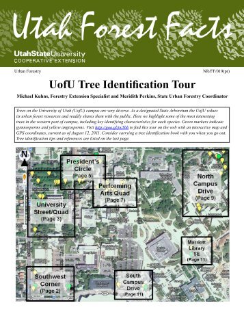 UofU Tree Identification Tour - Forestry - Utah State University