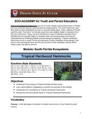 Tropical Hardwood Hammocks Lesson Plan - Deering Estate at Cutler