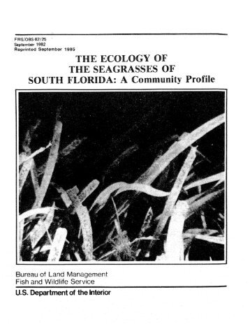 The Ecology of the Seagrasses of South Florida - USGS National ...