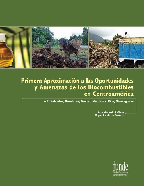 Biocombustibles: ventajas del carbón vegetal y los pellets - Ecologia Util