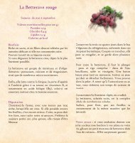 La Betterave rouge - Visualis