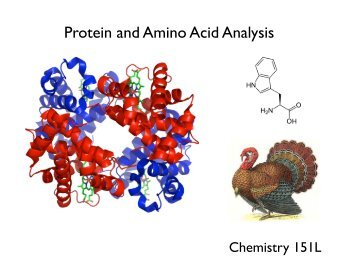 Protein and Amino Acid Analysis - The Corn Group Unicorn Web Site