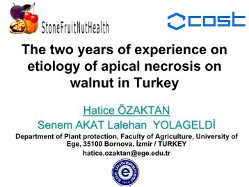 Brown apical necrosis of walnut in Turkey - Cost 873