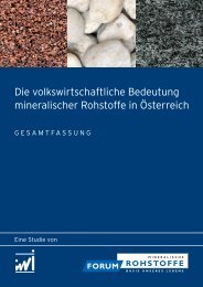 IWI Studie Gesamtfassung - 68 Seiten (955 KB, pdf) - Forum Rohstoffe