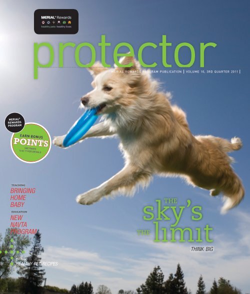 the-protector-magazine-merial-rewards