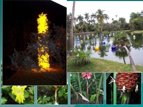 HSI Conservation Centers - Heliconia Society International