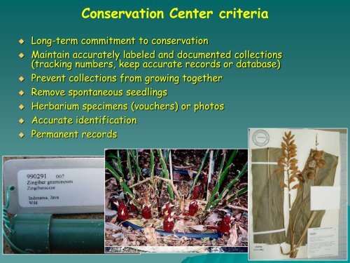 HSI Conservation Centers - Heliconia Society International