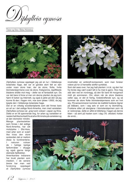 Lapprosen 1/2013 side 20 - Den norske Rhododendronforening