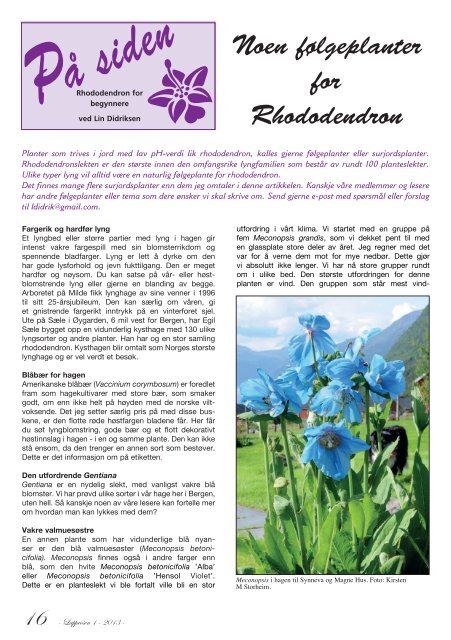 Lapprosen 1/2013 side 20 - Den norske Rhododendronforening