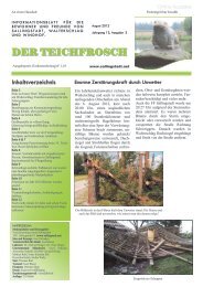 DER TEICHFROSCH - Sallingstadt