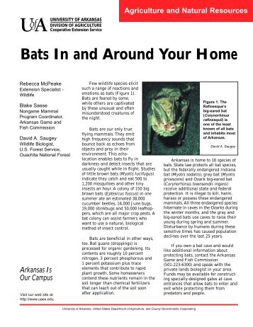 Bats In and Around Your Home - Arkansas Game and Fish ...