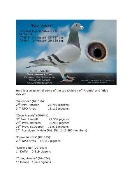 GEBBROEDERS HEERES & ZOON - Elimar Pigeon Services