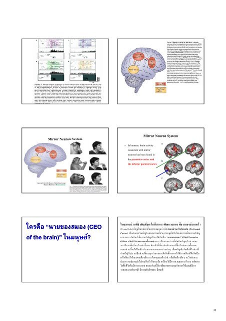 Triune Brain - Neuroscience.mahidol.ac.th - Mahidol University