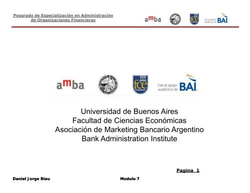 Normas Mínimas sobre Auditorías Externas - AMBA