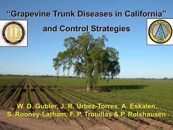 Grapevine Trunk Diseases Department of Plant ... - Lodi Wine