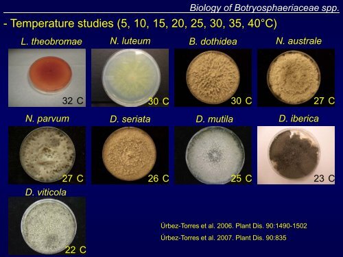 Grapevine Trunk Diseases Department of Plant ... - Lodi Wine