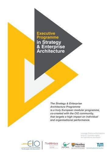 in Strategy & Enterprise Architecture - Henley Business School