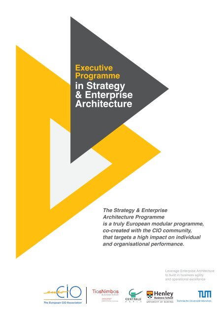 in Strategy & Enterprise Architecture - Henley Business School