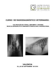 curso de radiodiagnóstico veterinario: valencia - Veterinaria Argentina