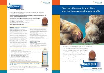The right choice – for Mycoplasmal infections in - The Poultry Site