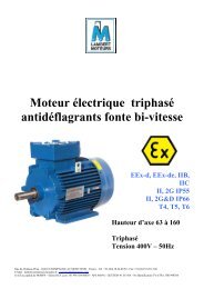 Moteur Ã©lectrique triphasÃ© antidÃ©flagrants fonte bi-vitesse