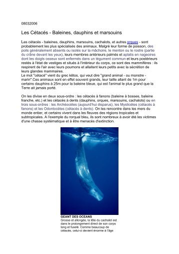 Les CÃ©tacÃ©s - Baleines, dauphins et marsouins - Canalblog