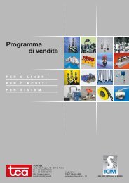 Programma di Vendita - TCA spa
