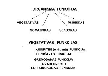 ORGANISMA FUNKCIJAS VEĂETATĪVĀS FUNKCIJAS