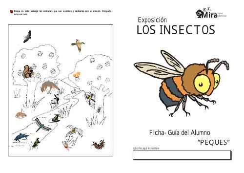 LOS INSECTOS - Ayuntamiento de Tres Cantos