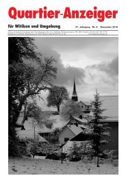 Ausgabe 8, Dezember 2010 - Quartier-Anzeiger Archiv