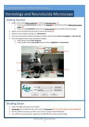 Stereology Microscope Guide