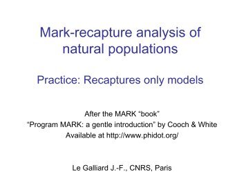 Mark-recapture analysis of natural populations