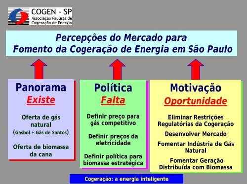 Fomento CogeraÃ§Ã£o - Workshop - Cogen