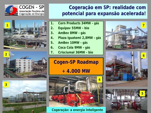 Fomento CogeraÃ§Ã£o - Workshop - Cogen